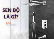 Sen Bộ Là Gì? Cấu Tạo & Phân Loại Sen Tắm Phổ Biến Nhất 2025