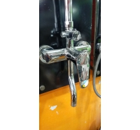 Sen cây Nóng Lạnh bóng