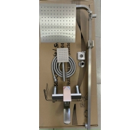 Sen cây Nóng Lạnh 304