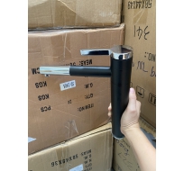 Vòi lavabo đen bạc