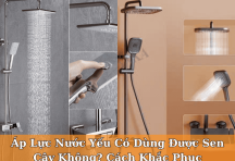 Áp Lực Nước Yếu Có Dùng Được Sen Cây Không? Cách Khắc Phục Hiệu Quả