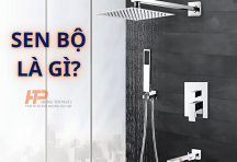 Sen Bộ Là Gì? Cấu Tạo & Phân Loại Sen Tắm Phổ Biến Nhất 2025