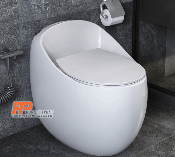 Mua bồn cầu giá rẻ tại TP.HCM
