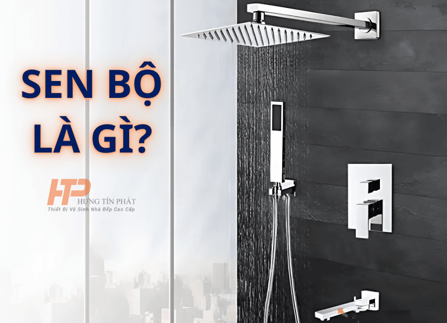 Sen Bộ Là Gì Cấu Tạo & Phân Loại Sen Tắm Phổ Biến Nhất 2025